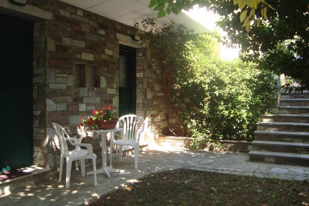 Ileana'S House Daire Golos Dış mekan fotoğraf