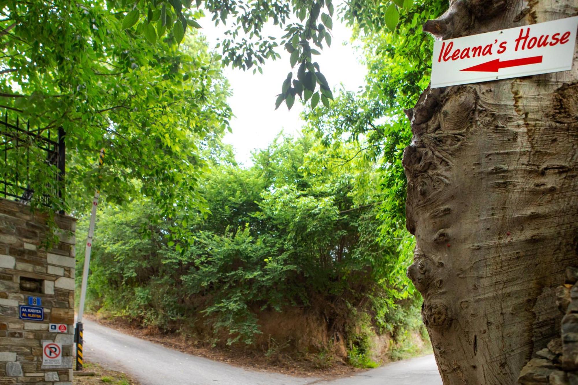 Ileana'S House Daire Golos Dış mekan fotoğraf